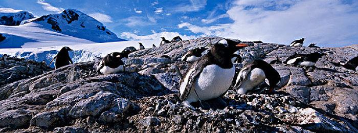 NEOWIZ参加“2025开拓芯游戏创享节”，携手开拓芯持续拓展全球影响力